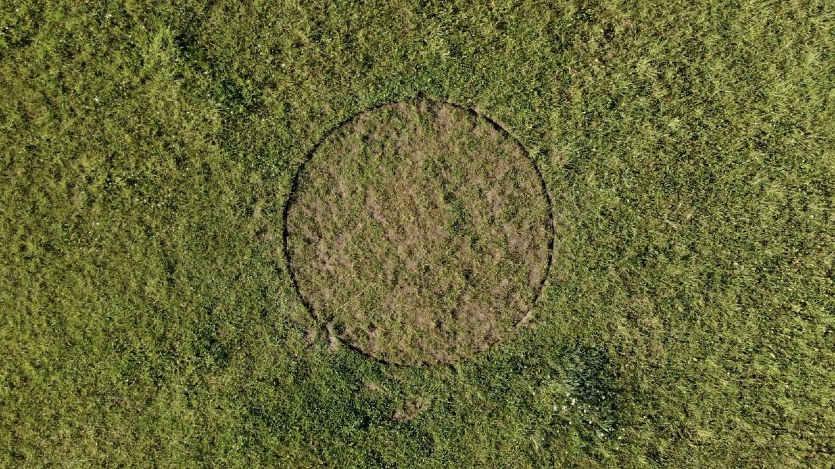 Lawn Centrifuge_artist Julijonas Urbonas_photo_Timo Toots.jpg